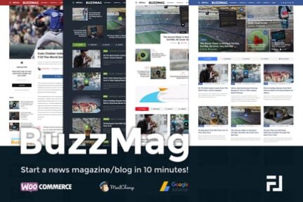 BuzzMag - Viral News WordPress Magazine/Blog Theme